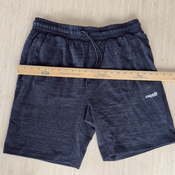 Capellini Sport Shorts size L - Picture 3 of 5